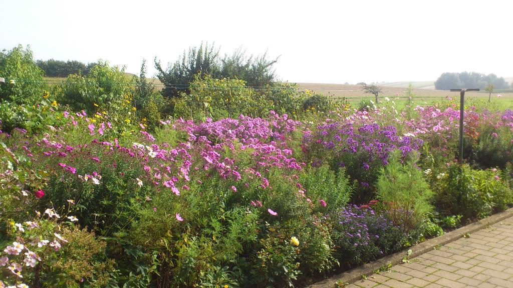 Ferienwohnungen Eichenhof Kapellen-Drusweiler Eksteriør billede